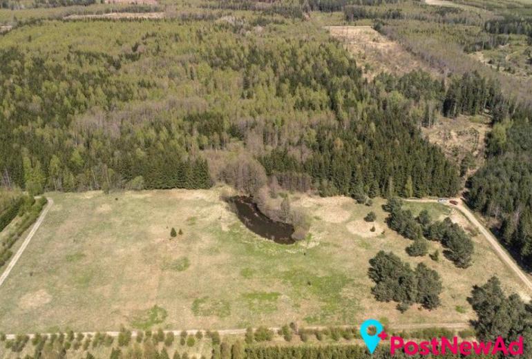 Du sklypai Kuniginės kaime: 565,42 a ir 252,46 a