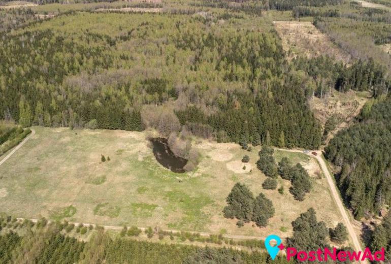 Du sklypai Kuniginės kaime: 565,42 a ir 252,46 a