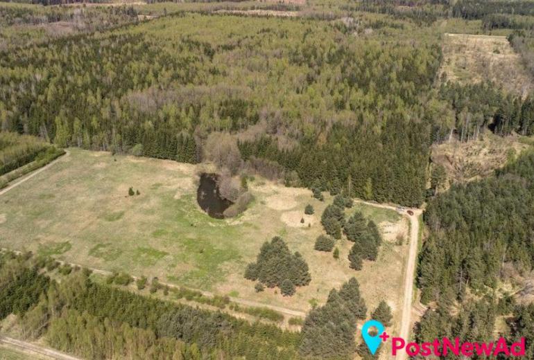 Du sklypai Kuniginės kaime: 565,42 a ir 252,46 a