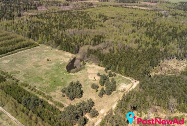 Du sklypai Kuniginės kaime: 565,42 a ir 252,46 a