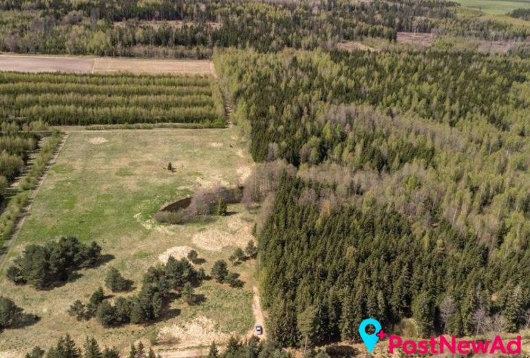 Du sklypai Kuniginės kaime: 565,42 a ir 252,46 a