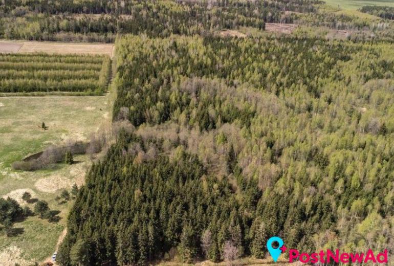 Du sklypai Kuniginės kaime: 565,42 a ir 252,46 a