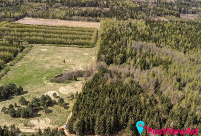 Du sklypai Kuniginės kaime: 565,42 a ir 252,46 a