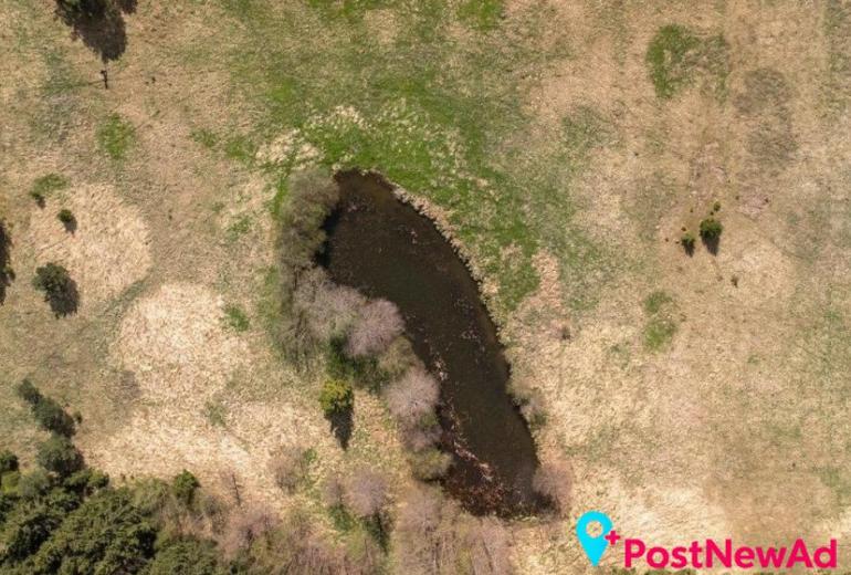 Du sklypai Kuniginės kaime: 565,42 a ir 252,46 a