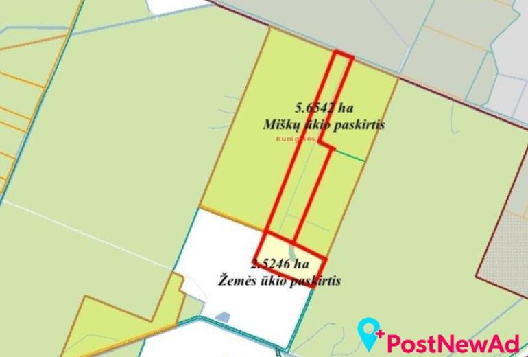 Du sklypai Kuniginės kaime: 565,42 a ir 252,46 a