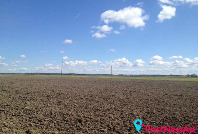 Parduodamas 25,4 aro sklypas Grūšlaukės kaime