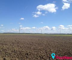 Parduodamas 25,4 aro sklypas Grūšlaukės kaime