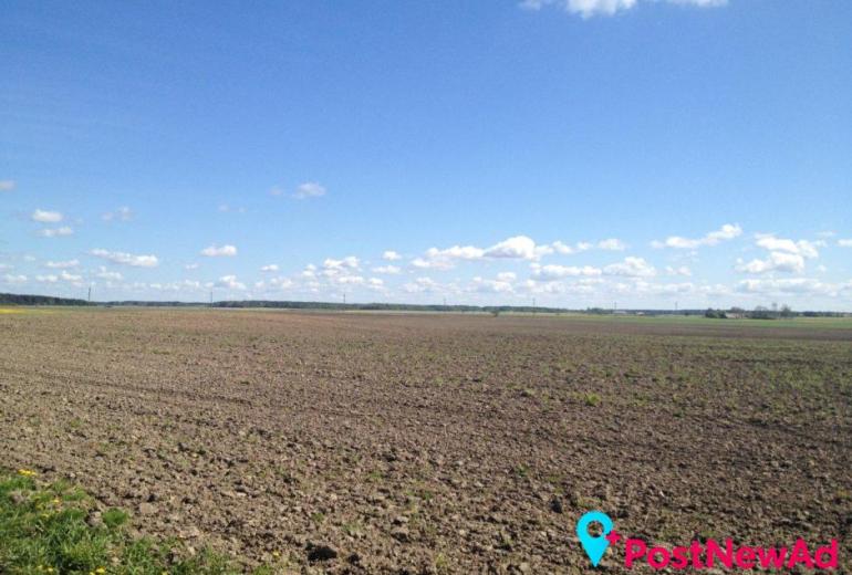 Parduodamas 25,4 aro sklypas Grūšlaukės kaime