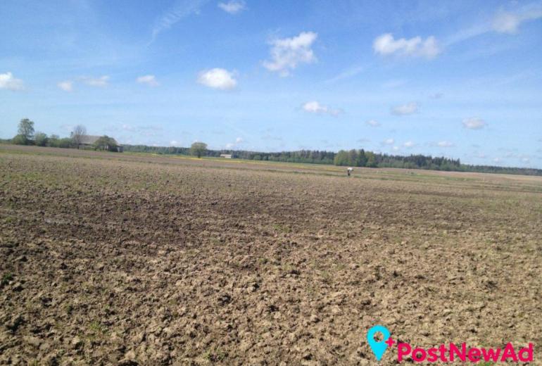 Parduodamas 25,4 aro sklypas Grūšlaukės kaime