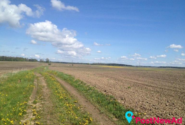 Parduodamas 25,4 aro sklypas Grūšlaukės kaime