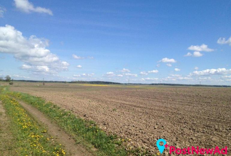 Parduodamas 25,4 aro sklypas Grūšlaukės kaime