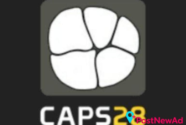 CAPS28 (Computing Assisted Practice Solutions)