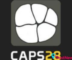 CAPS28 (Computing Assisted Practice Solutions)