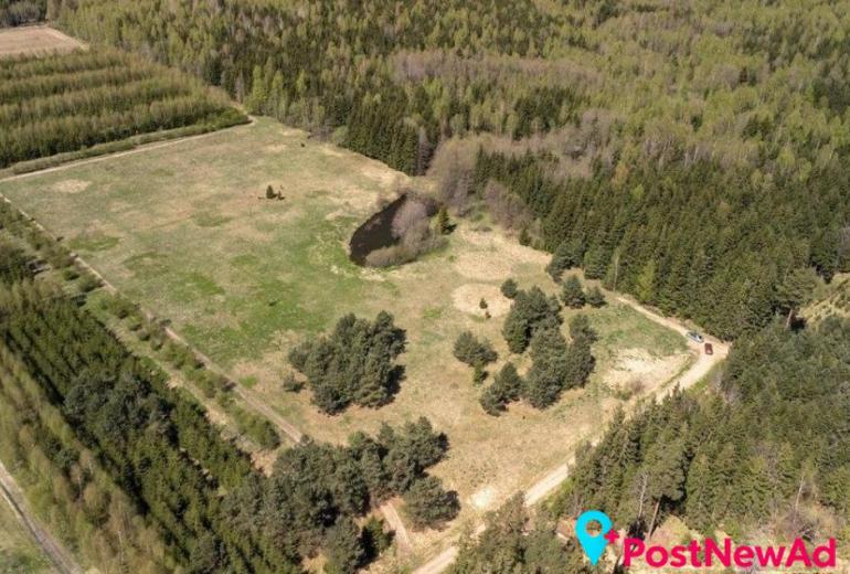 Du sklypai Kuniginės kaime: 565,42 a ir 252,46 a