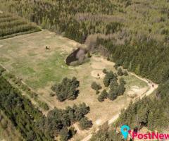 Du sklypai Kuniginės kaime: 565,42 a ir 252,46 a