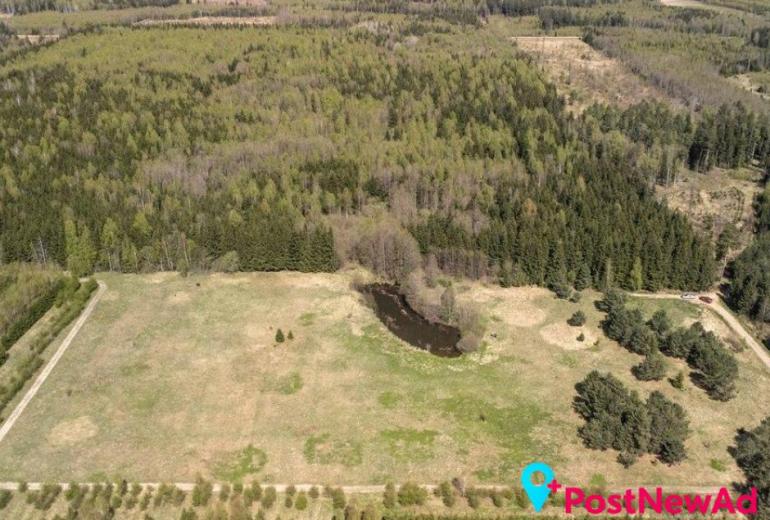 Du sklypai Kuniginės kaime: 565,42 a ir 252,46 a