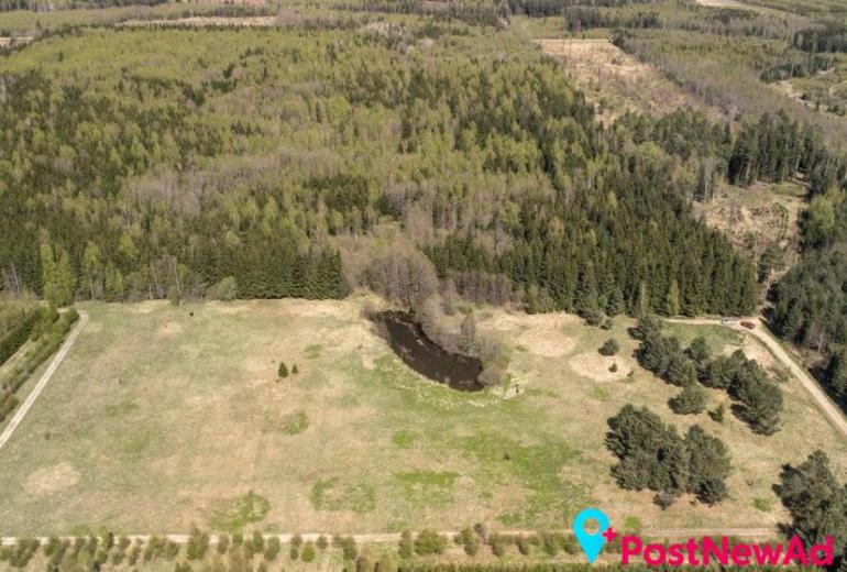 Du sklypai Kuniginės kaime: 565,42 a ir 252,46 a