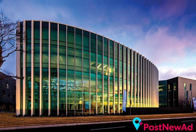 ADHD And The Brain Dallas TX