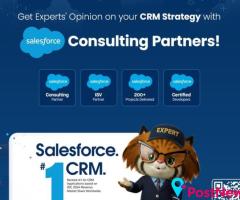 Salesforce Consulting Company In India | Salesforce Consulting Services by Tech9logy Creators