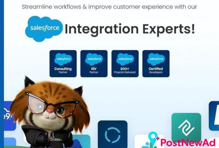 Best Salesforce Integration Services in India