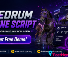 ZedRun Clone Script Development | NFT Horse Racing Platform