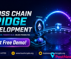 Cross Chain Bridge Development Services | Touchcrypto