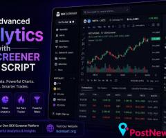 Create Advanced Analytics with DEX Screener Clone Script