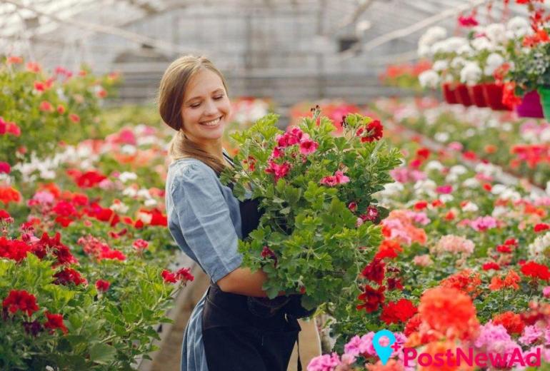 Transform Your Yard with Professional Gardening Services