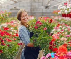 Transform Your Yard with Professional Gardening Services