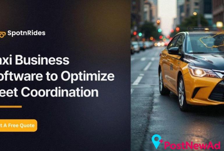 Taxi Business Software to Optimize Fleet Coordination