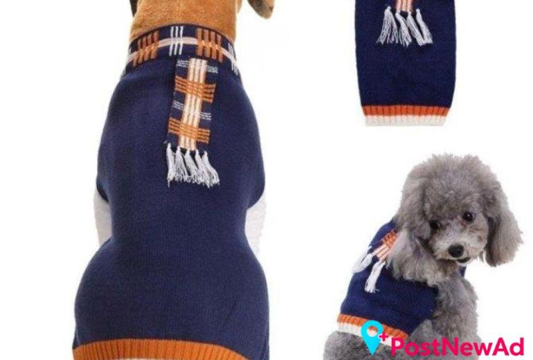 Dog Apparel for Comfort, Protection and Everyday Adventures