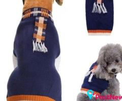 Dog Apparel for Comfort, Protection and Everyday Adventures