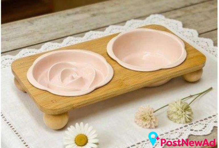 Cat Bowls, Feeders & Waterers for Everyday Mealtimes