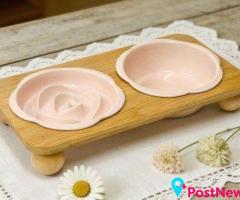 Cat Bowls, Feeders & Waterers for Everyday Mealtimes