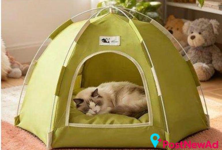 Cat Furniture for Play, Rest and Everyday Comfort