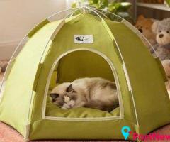 Cat Furniture for Play, Rest and Everyday Comfort