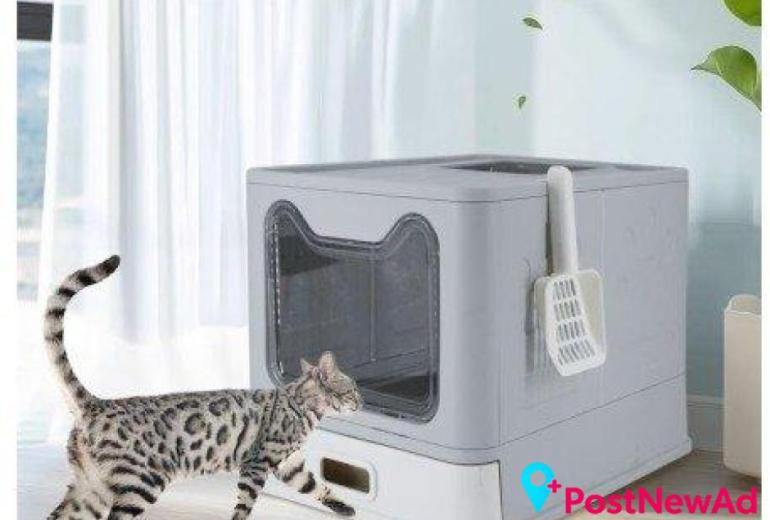 Cat Litter for a Clean and Comfortable Home