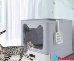 Cat Litter for a Clean and Comfortable Home