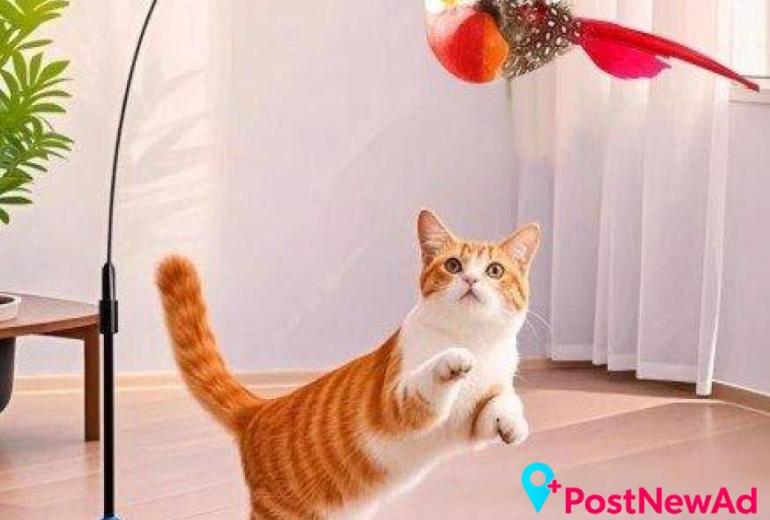 Cat Toys for Fun, Play and Daily Enrichment