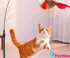 Cat Toys for Fun, Play and Daily Enrichment