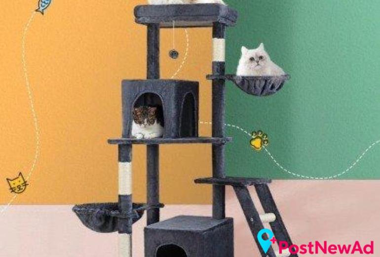 Cat Scratching Posts for Play and Natural Scratching