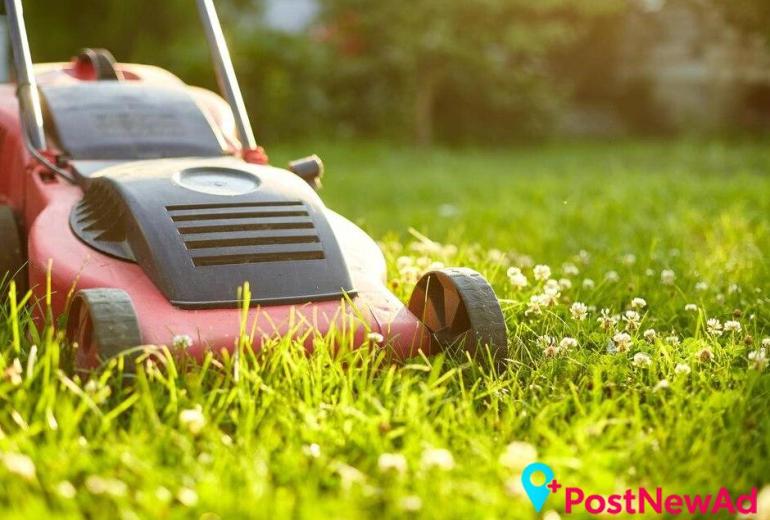 Gardening Services for Healthy and Well-Kept Gardens