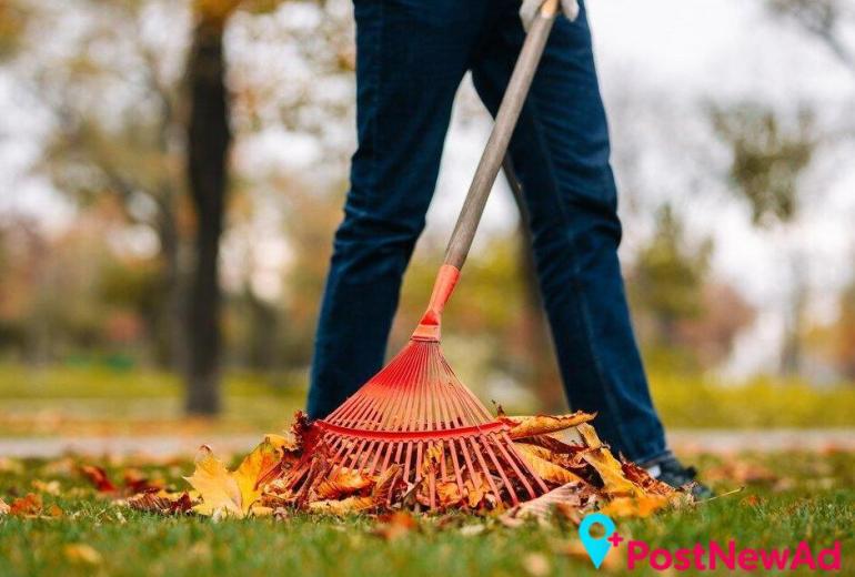 Spring Cleaning Services for a Fresh, Tidy Home