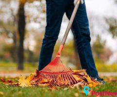 Spring Cleaning Services for a Fresh, Tidy Home