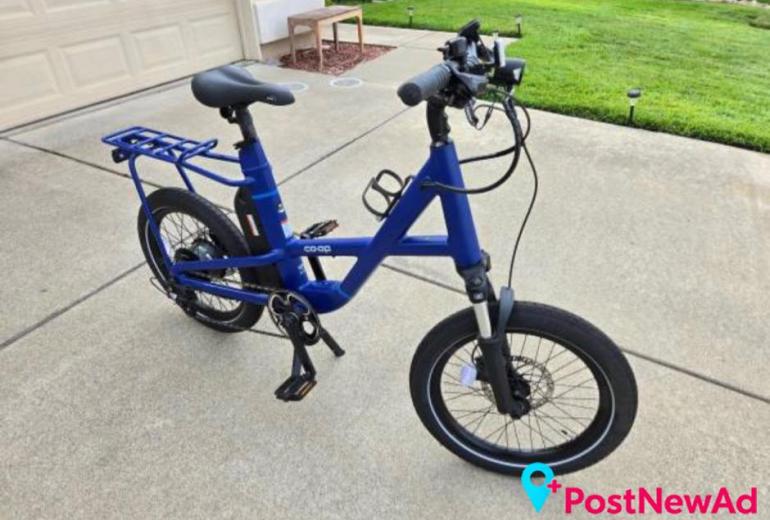 Electric Bike - REI Co-Op Cycles Generation e1.1 - $600 (Antelope)