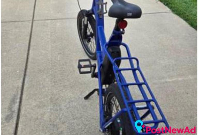 Electric Bike - REI Co-Op Cycles Generation e1.1 - $600 (Antelope)