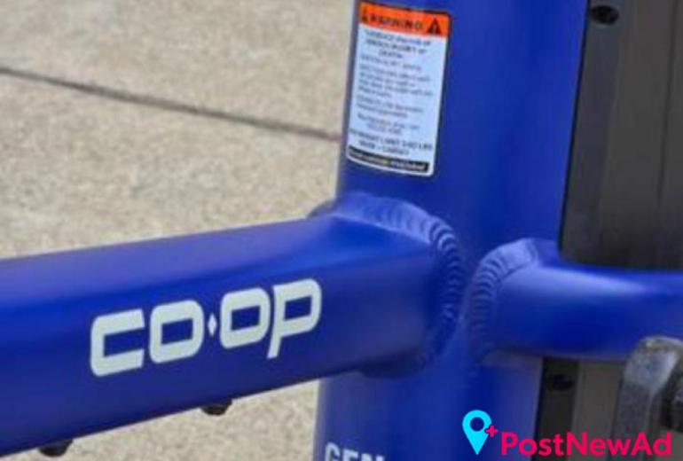Electric Bike - REI Co-Op Cycles Generation e1.1 - $600 (Antelope)